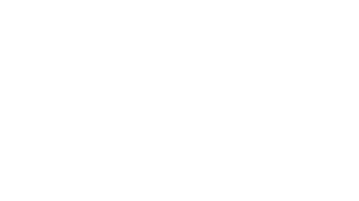 H2 Clipper